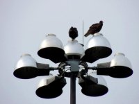 DSCN9875.jpg