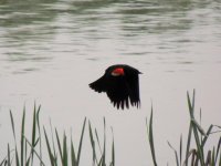 DSCN9850.jpg