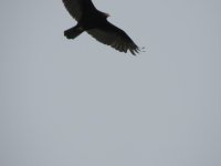 DSCN9870.jpg