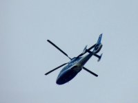 DSCN9879.jpg