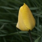 NIK_0489.jpg