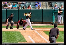 Day140BaseballBat.jpg