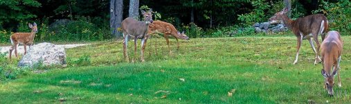 DSC_0032-3.jpg