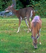 DSC_0032.jpg