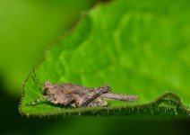 DSC_4637_edited.jpg