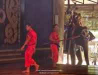 fighting-4.jpg