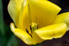 DSC_9278.jpg