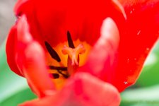 DSC_9279.jpg