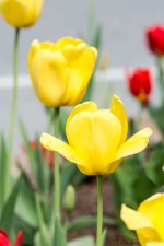 DSC_9280.jpg