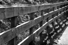 Light on fence LOL.jpg