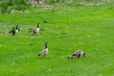 DSC_5089.jpg