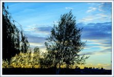 DSC_2082.jpg