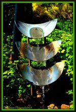 Water Feature.jpg