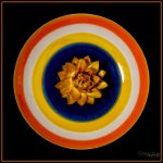 Day142-4.jpg
