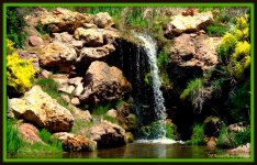 Waterfall at Red Butte Garden.jpg