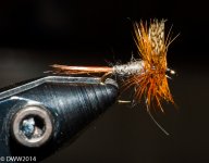 Fly in Vise2 (1 of 1).jpg