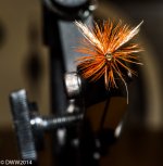 Fly in Vise (1 of 1).jpg
