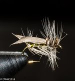 Fly in Vise3 (1 of 1).jpg