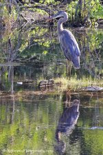 DSC_2279.jpg