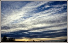 DSC_2104.jpg