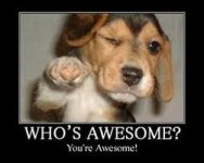 happy_puppy_by_pink2244-d3dpe5v.jpg