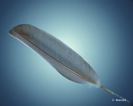LightAsAFeather.jpg