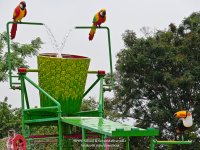 papsplash-1.jpg