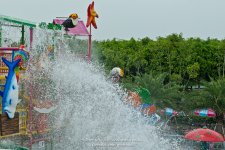 papsplash-3.jpg