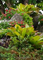greens-1.jpg