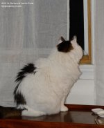 143 Spooky-140523_01.jpg