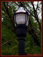 Rose Park Lamp Close Up.jpg