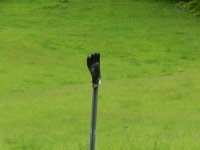 DSCN1723.jpg