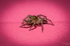 Day143-1.jpg