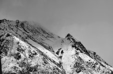 DSC_1702 b& w comp.jpg