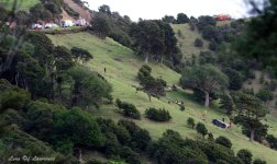 Coromandel accident LOL.jpg