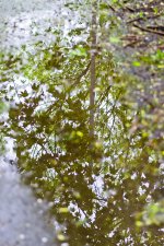 DSC_6880 web.jpg