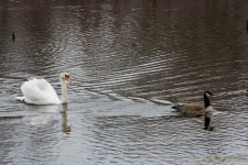 DSC_8917.jpg