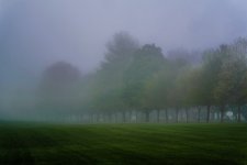 DSC_5066.jpg