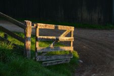 DSC_2646.jpg