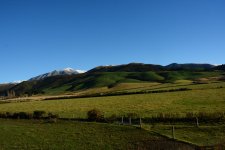 DSC_2736.jpg