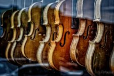 Day144-1.jpg