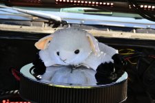 DSC_3084.jpg
