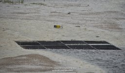 litter-1.jpg