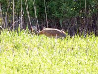 DSC_3145.jpg