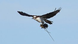 DSC_3146.JPG