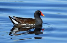 DSC_3174.jpg