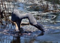 DSC_3203.jpg