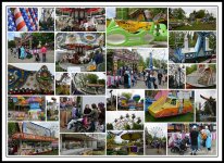 Chagrin Fall Blossom Fes 2014.jpg