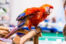DSC_0012.jpg