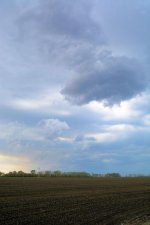 DSC_5585.jpg